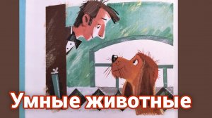 М. ЗОЩЕНКО. «УМНЫЕ ЖИВОТНЫЕ» ИНТЕРЕСНЫЕ РАССКАЗЫ ДЛЯ ДЕТЕЙ🌺