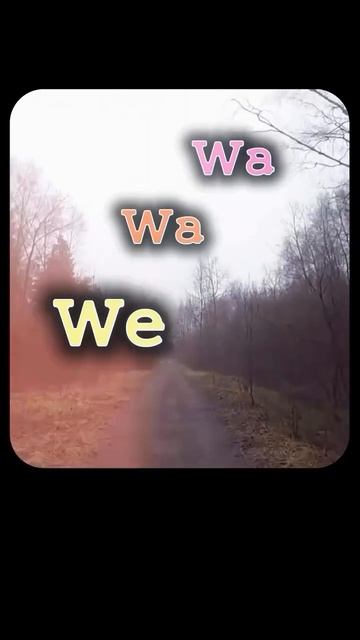 Wi Wi We