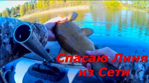 Сказ о Том Как я Линя из Сети Спасал (Рыба в Сети Видео)