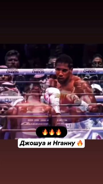 Энтони Джошуа и Франсис Нганну