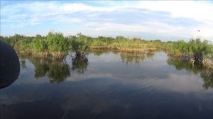 ПРИМАНКА БОМБА \РЫБЫ АТАКУЮТ \ ЩУКА ОКУНЬ \ ЗАЛИВНОЕ ОЗЕРО