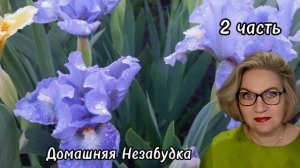 2 часть. Размечтались❗️Срамота❗️