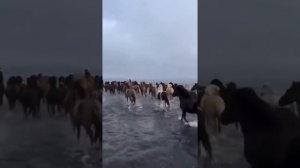 КРАСИВАЯ ПЕСНЯ ❤️❤️❤️