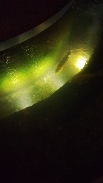 1000002780.mp4