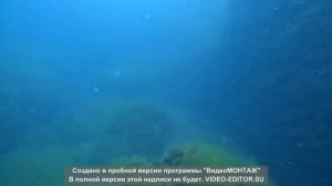 Крым, мыс Меганом глубина 20.2 метра Июнь 2026