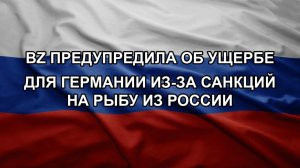 BZ предупредила об ущербе для Германии из-за санкций на рыбу из России