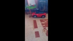 котиксы первая серия