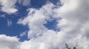 Одиночество