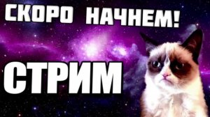 Выбрала бабло 💰 а не учиться на юрфаке 🧑🎓