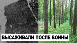 Масштабные Лесопосадки Послевоенные годы. Салтыковский лесопарк