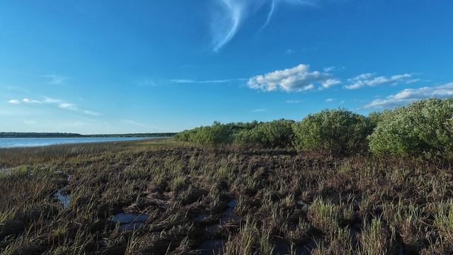 Озеро Никольское Вологодская область