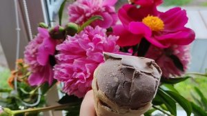 ем шоколадное мороженое в жаркий летний день в деревне
