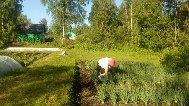 Дискредитатор православной церкви. Я разочарована .....