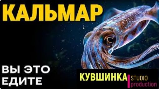 самое странное существо на вашей тарелке