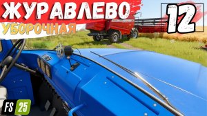 ФС25 Журавлёво, Уборочная пшеницы, МАЗ застрял #12 серия #FarmingSimulator25
