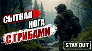 СЫТНАЯ НОГА С ГРИБАМИ | Stay Out / Сталкер Онлайн | #18