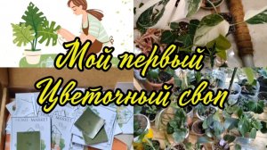 Мой первый цветочный СВОП | НОВЫЕ РАСТЕНИЯ В КОЛЛЕКЦИИ.