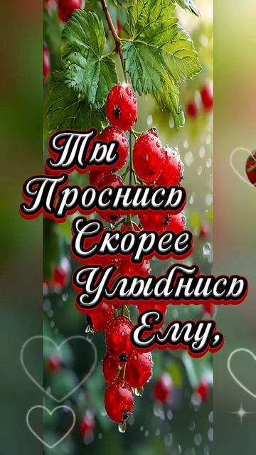 Доброе утро