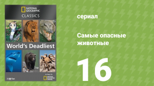 Самые опасные животные 16 серия (документальный сериал, 2007)
