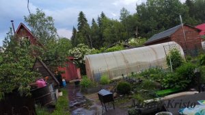 Дождь за городом 🏡 Музыка для души🌦️ Загородный уют под стук капель 🍃 Слушай и отдыхай