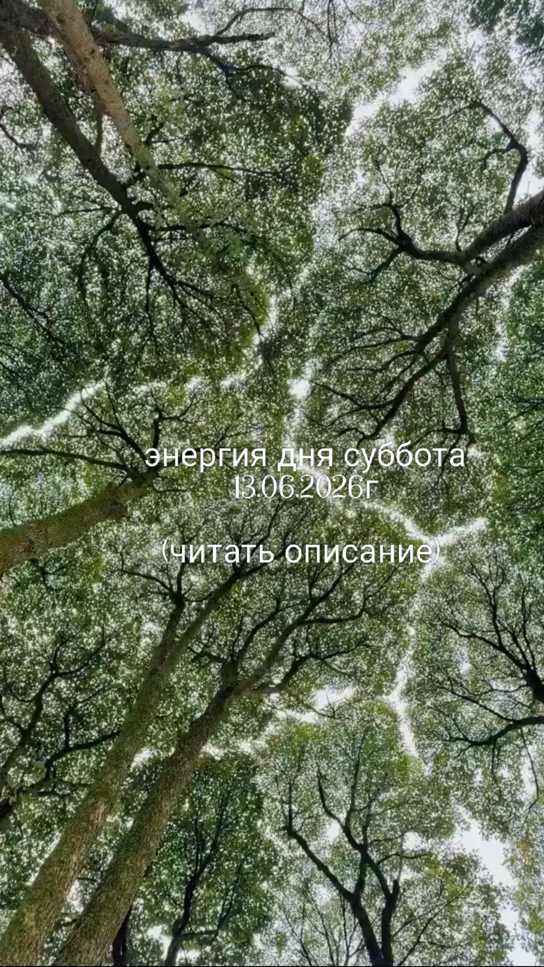13.06.2026г энергия дня суббота
