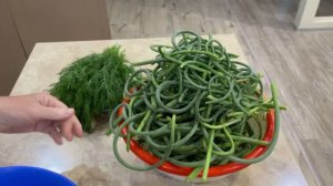 Паста ЗДОРОВЬЕ  из стрелок Чеснока . Отличная закуска!!!