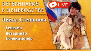 Ветеринария в овцеводстве с Лейлой Степановой. Прямой эфир 13 июня в 17:00 (Астана)/15:00 (Москва).