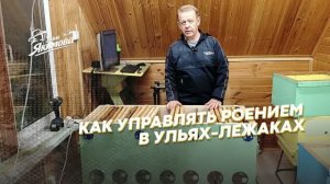 Как я управляю роением в лежаках и получаю сильные медовики