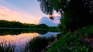 Тихий вечер лёг на плечи - стихи и музыка - Михнев Виктор + SUNO