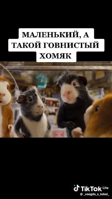 кино смотреть онлайн