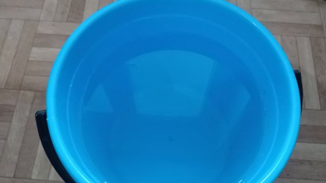 1 литр под Огурцы. Засыпят урожаем и желтеть не будут Объясняю что внести чтобы куст огурцов попер.