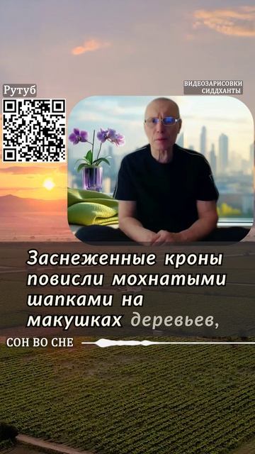 Сон во сне. Аудиокниги Сиддханты (Вячеслава Чернина)