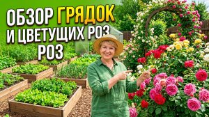 Огородные новости.