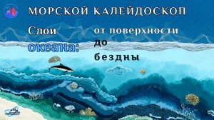 Слои океана: от поверхности до бездны