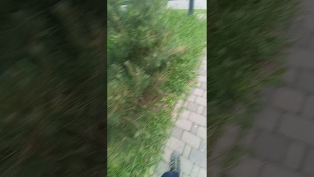 Наблюдение за поведением пожилой женщины, которая кажется странной.