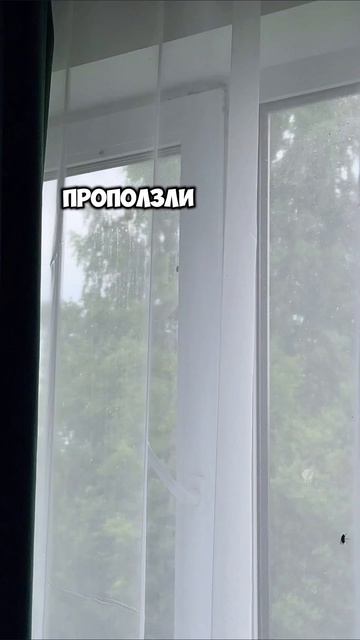 мухи