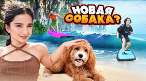 🍿 АМИНА ПРОСИТ НОВУЮ СОБАКУ 🤯 НАУЧИЛИСЬ СЕРФИТЬ 🤩 НОВЫЙ ОТЕЛЬ!!! VLOG