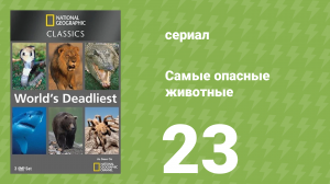 Самые опасные животные 23 серия (документальный сериал, 2007)