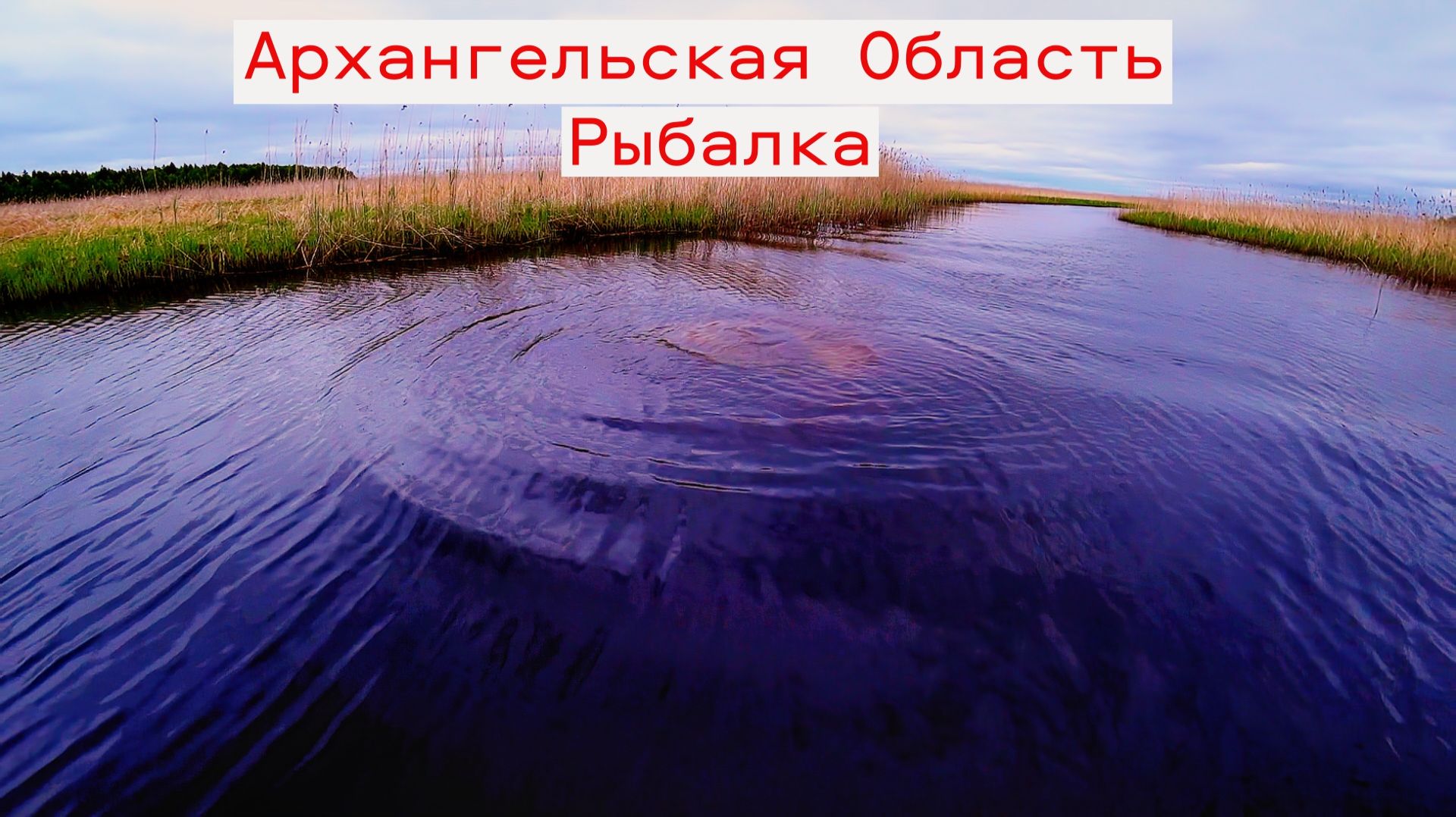 ОТКРЫЛ Сезон Рыбалки В Архангельской Области. Ловля Судака Щуки Окуня. Часть-2