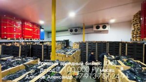 ГАБ НСК Холодильник 1,1млн/мес