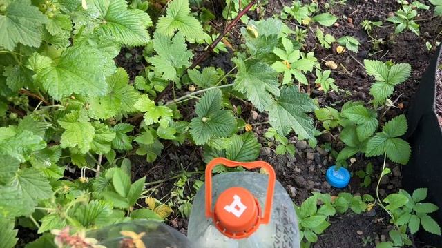 Дачная жизнь. Поменяла старые пледы на новые. Для дачи в самый раз. смотреть онлайн