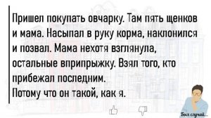 🏠Большой_Сборник_Весёлых,Жизненных_Историй,Для_Супер_Настроения