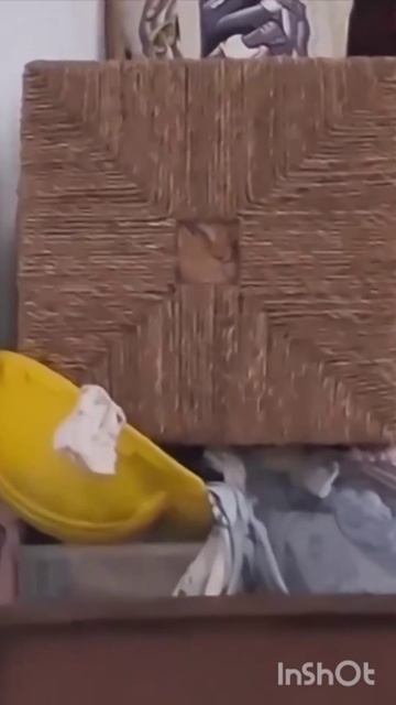 котик замаскировался смотреть онлайн