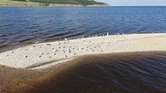 Коса у с. Мордово, Ульяновская область