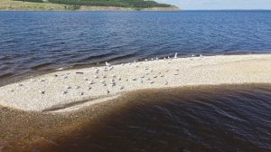Коса у с. Мордово, Ульяновская область