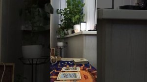 Карта дня