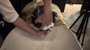 ASMR №269眠れるあなたもなれる真スゴ技シャンプーモデルWING [SU・GO・WA・ZA ]Shampoo Japanese special technique