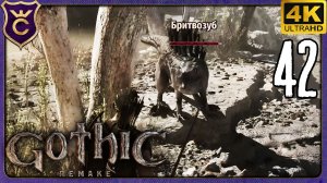 МАНЮ БРИТВОЗУБОВ К ВОЛШЕБНОМУ ДЕРЕВУ! 42 Gothic 1 Remake