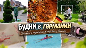 VLOG🇩🇪: 🏞️СОБИРАЕМСЯ В ОТПУСК🏔️ ПОДСТРИГАЮ ДЕРЕВЬЯ🏠/ ГОТОВЛЮ/ В БАССЕЙНЕ С ЛИЗОЙ