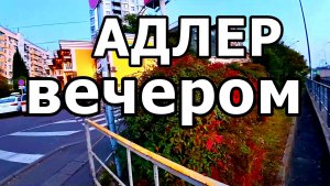 ТЕПЛЫЙ ЮЖНЫЙ ВЕЧЕР: ОТ ЖД ВОКЗАЛА ДО МАГНИТА. АДЛЕР. ОТПУСК. 25 НОЯБРЯ 2025 ГОДА.